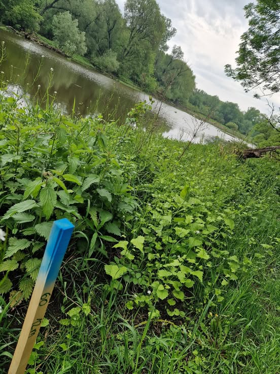 Via Donau
