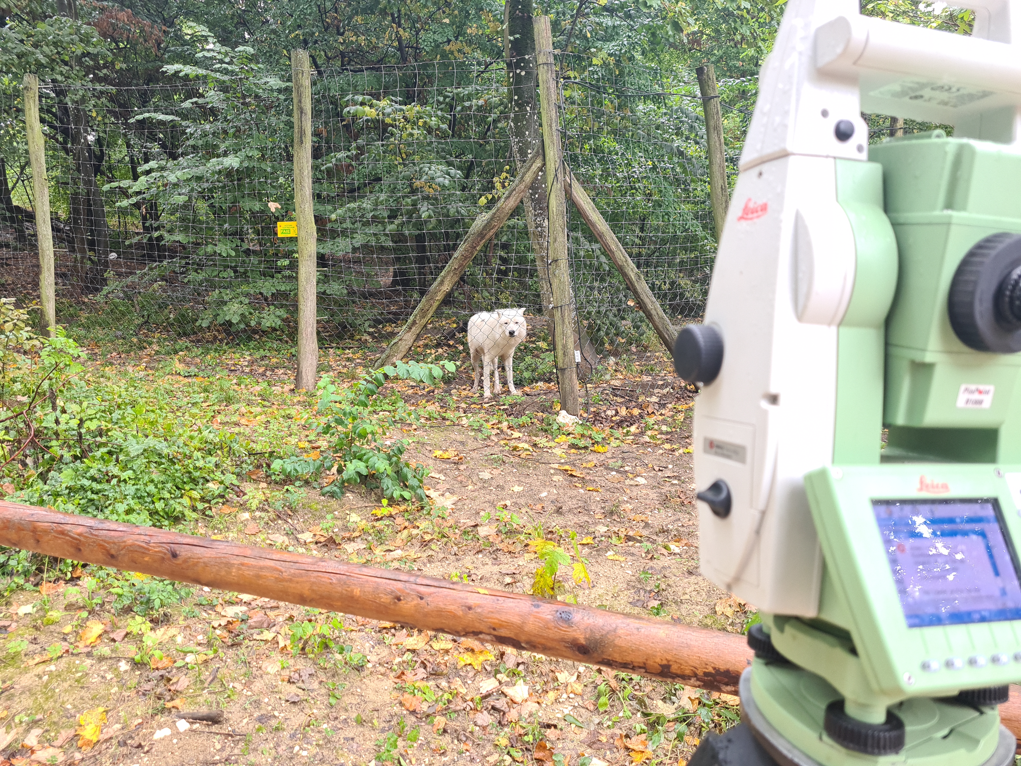 Wolf Science Center Ernstbrunn